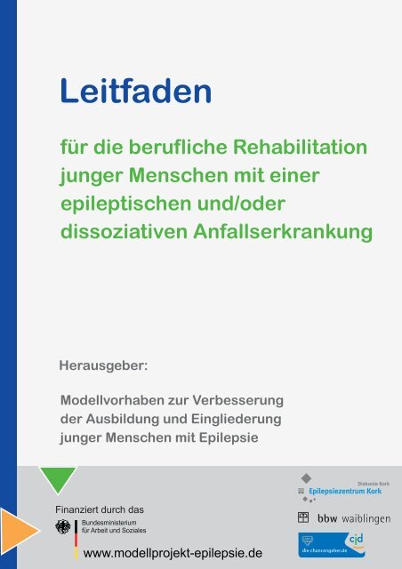 Leitfaden - Modellprojekt Epilepsie