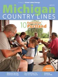 Using - Michigan Country Lines Magazine