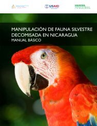 manipulaciÃ³n de fauna silvestre decomisada en nicaragua - caftadr ...