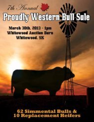 Proudly Western Bull Sale - Transcon Livestock Corporation