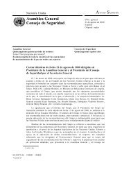 Asamblea General Consejo de Seguridad - Naciones Unidas