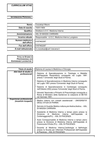 curriculum vitae