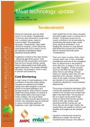 Tenderstretch - March 1998 - Red Meat Innovation