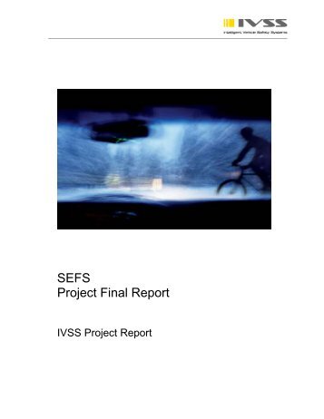 SEFS Project Final Report - IVSS