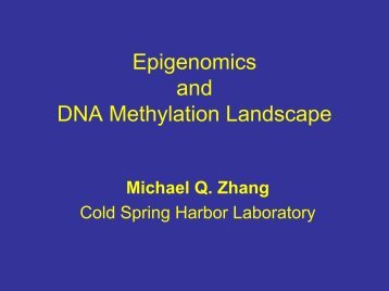 Mammalian Epigenomics and Genomic Methylation Landscape