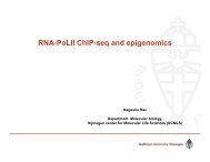 RNA-PoLII ChIP-seq and epigenomics