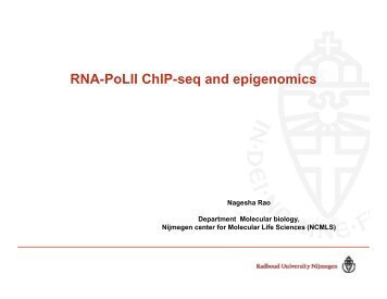 RNA-PoLII ChIP-seq and epigenomics