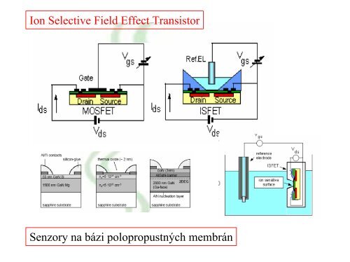 Prezentace aplikace PowerPoint - Senzory a biosenzory pro ...