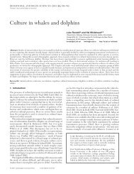 Culture in whales and dolphins - Whitelab Biology Dal - Dalhousie ...