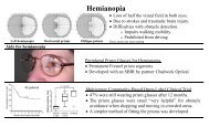 Engineering Approaches to Low Vision Rehabilitation