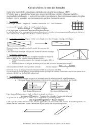 Calculs d'aires : le sens des formules - Primaths