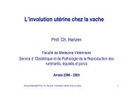 L'involution utÃ©rine chez la vache