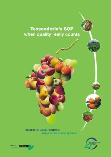 SOP Brochure English - Tessenderlo Group