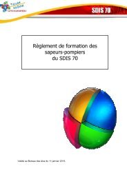 RÃ¨glement de formation 2013 - Service DÃ©partemental d'Incendie et ...