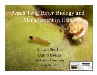 Peach Twig Borer Biology and Management in Utah - Utah Pests ...