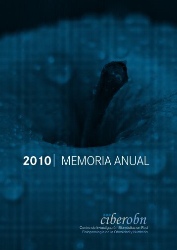 2010 MEMORIA ANUAL - Ciberobn