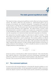 The static general equilibrium model 4.1 The command optimum