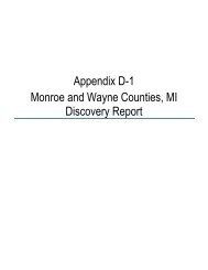 Appendix D-1 Monroe and Wayne Counties, MI Discovery Report