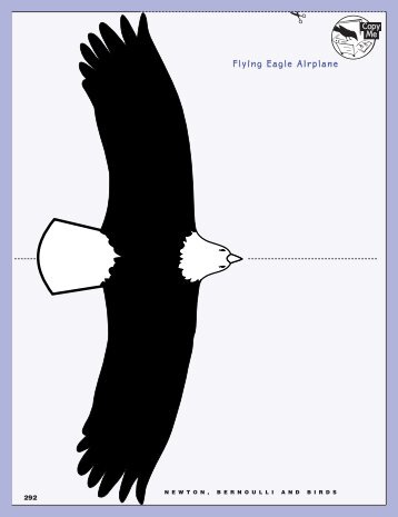 Pages 292-294 - Flying Eagle Airplane - Flying WILD