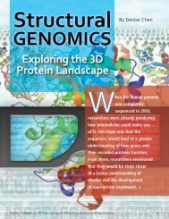 Exploring the 3D Protein Landscape - Biomedical Computation ...