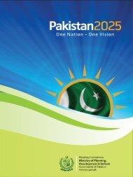 Vision-2025-Pakistan