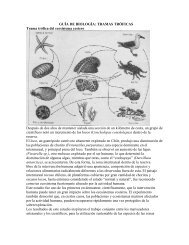 GUÍA DE BIOLOGÍA: TRAMAS TRÓFICAS Trama trófica del ...