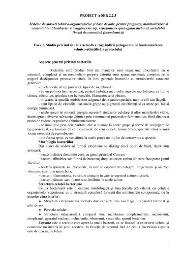 Raport stiintific si tehnic (RST) in extenso(.pdf) - Institutul National de ...