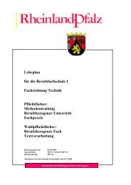 Lehrplan für die Berufsfachschule I Fachrichtung Technik ...