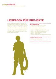 Leitfaden für Projekte - youngCARITAS