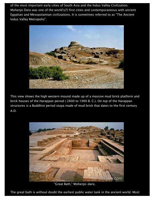 Indus Valley Civilization - Rolf Gross