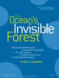 The Ocean's Invisible Forest
