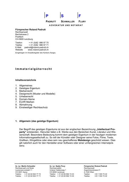 Immaterialguterrecht