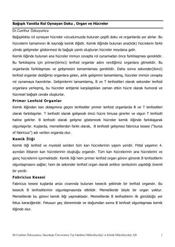 İmmün Sistem Organ ve Hücre - hacettepe üniversitesi tıp fakültesi