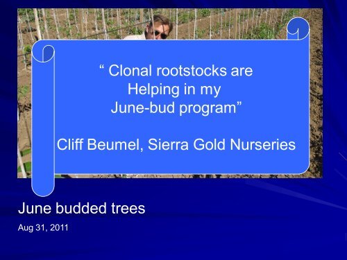 Micropropagation of Walnut Rootstocks