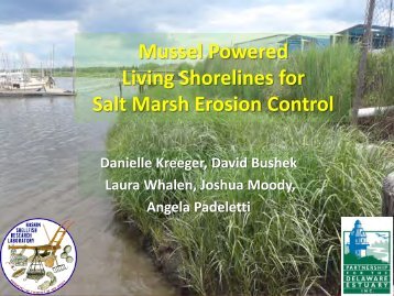 Mussel Powered Living Shorelines for Salt Marsh Erosion Control