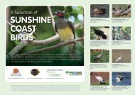 Selection of Sunshine Coast birds - Birds in Backyards