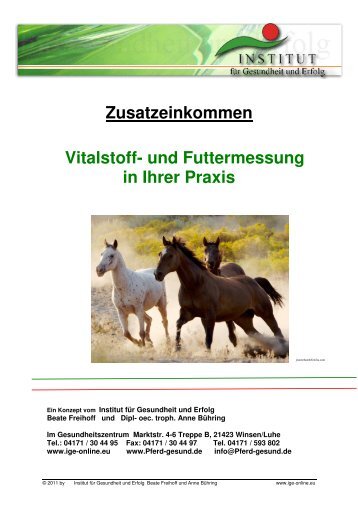 Zusatzeinkommen Vitalstoff - auf Vitalstoffmessung.de