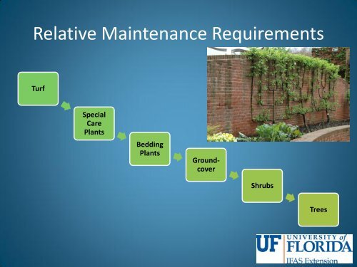 Designing for Florida-Friendly Landscape Maintenance Erin Alvarez