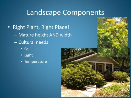 Designing for Florida-Friendly Landscape Maintenance Erin Alvarez