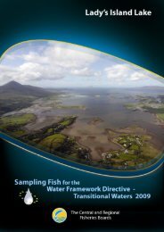 Lady's Island Lake estuary report 2009 - Inland Fisheries Ireland