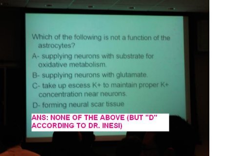 Dr. Inesi's sample CNS questions