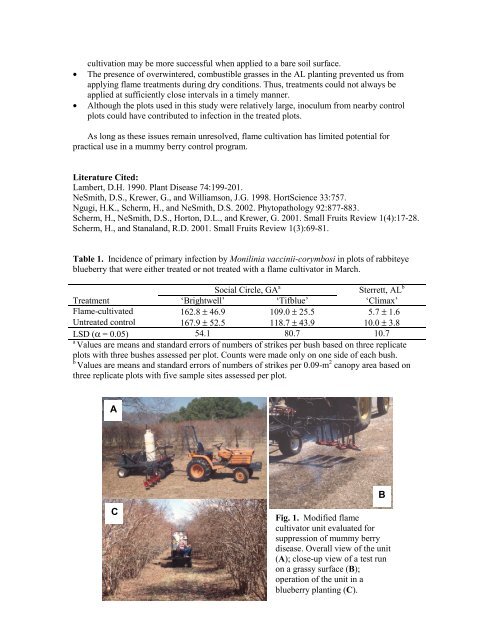 Progress Report for Research Funding