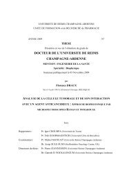 docteur de l'universite de reims champagne-ardenne - UniversitÃ© de ...