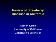 Review of strawberry Diseases in California-Steven Koike