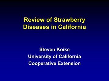 Review of strawberry Diseases in California-Steven Koike