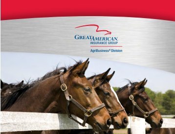 Equine Farm Marketing Brochure - Great American Insurance Group