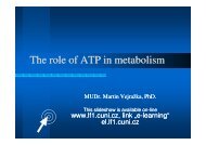 (Microsoft PowerPoint - ATP angl.ppt [Re\236im kompatibility])