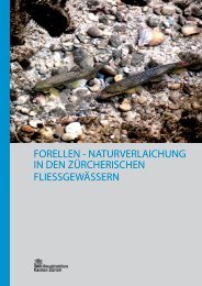 FORELLEN - NATURVERLAICHUNG IN DEN ... - Fiber