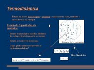 TermodinÃ¢mica - CEUNES