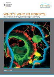 who's who in forsys.